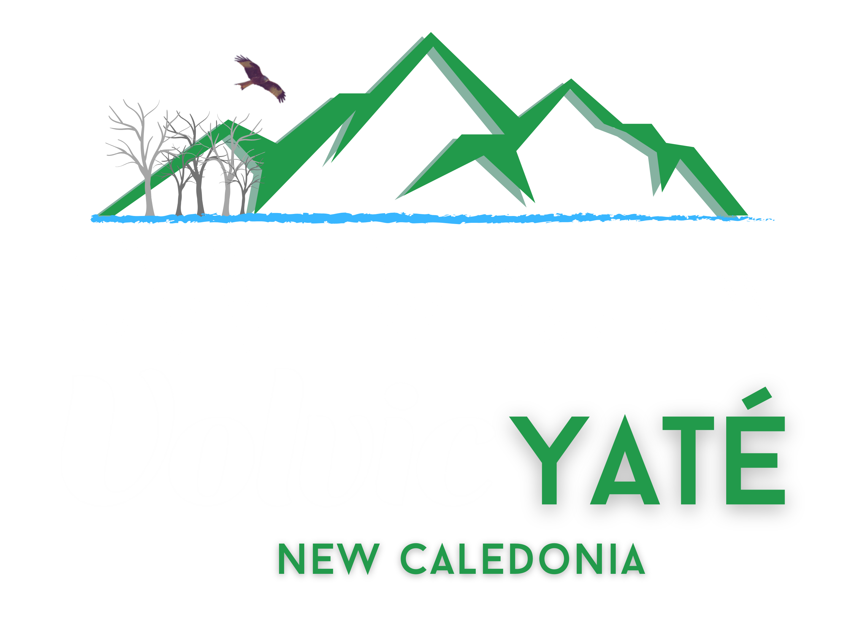 Image SwimRun Volvic New Caledonia (988) - M