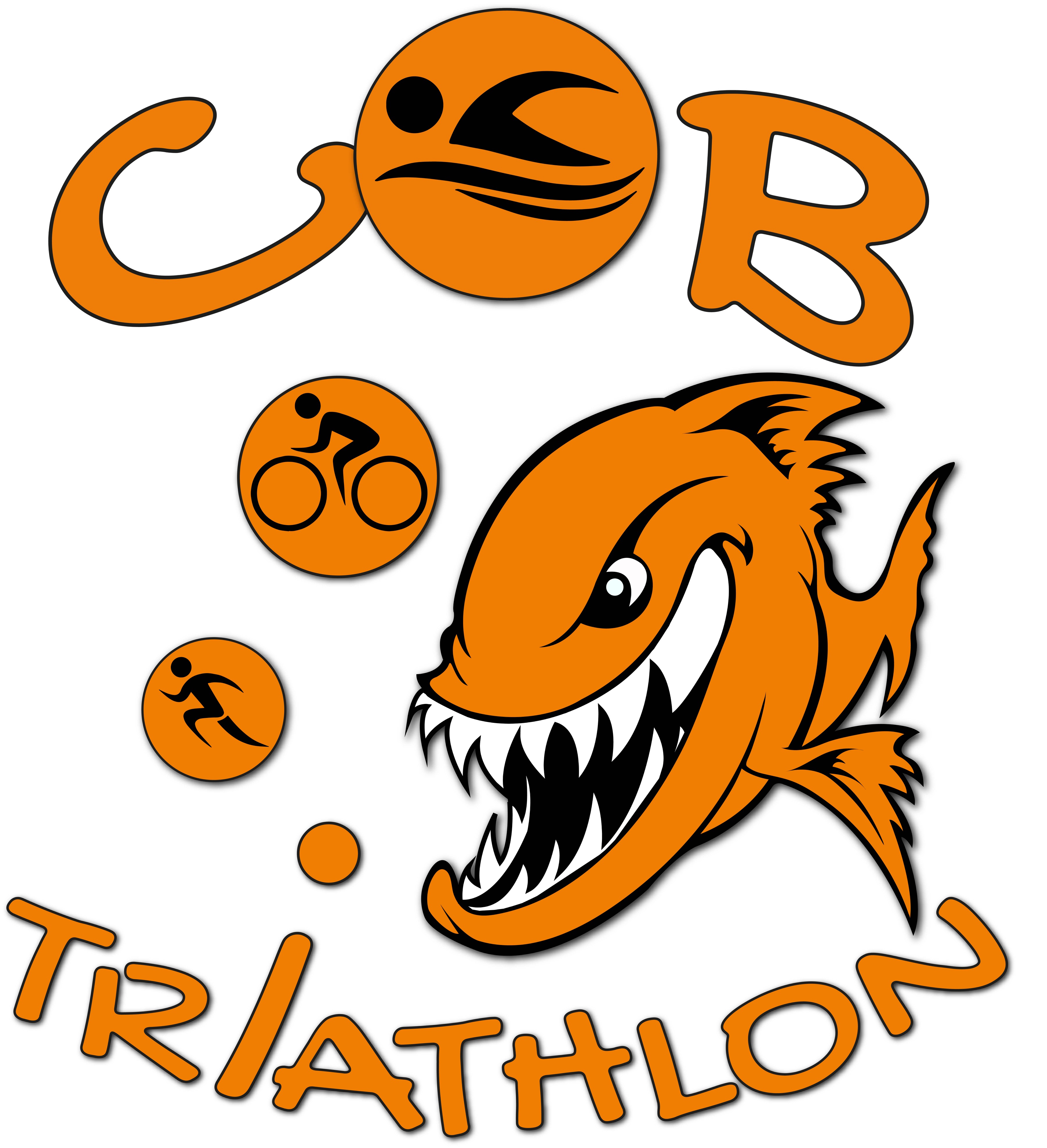 Image L'Hivernale des Cross du Brioude (43)