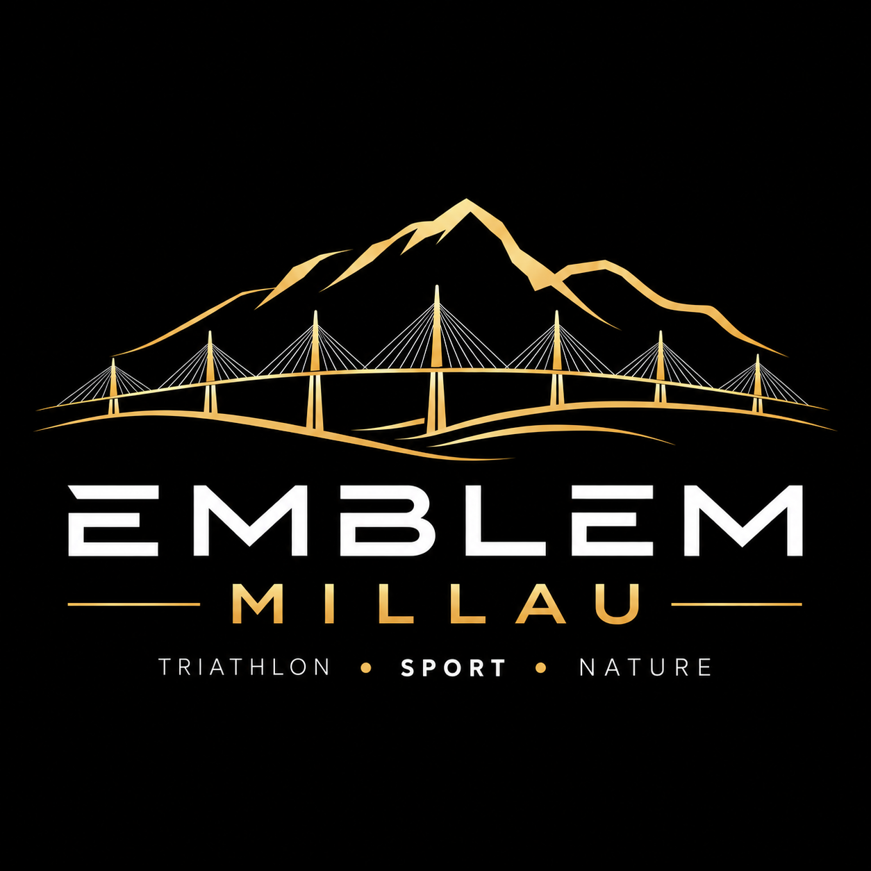 Logo EMBLEM Millau