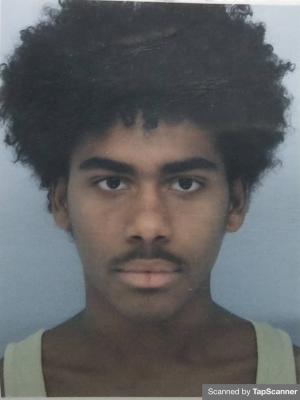 TOUSSAINT HUBERT AUDRIC