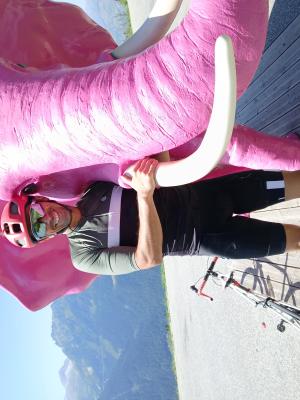 LE MAGUERESSE Florent