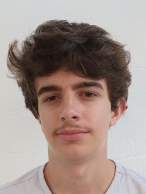 CAPIGA Loris