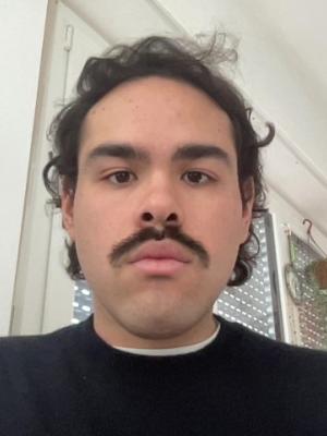 VARGAS RAMIREZ Alonso