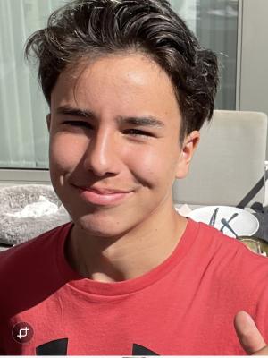 WILLEMS Sebastien David