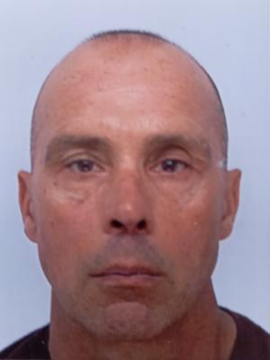 ROBERT GILLES